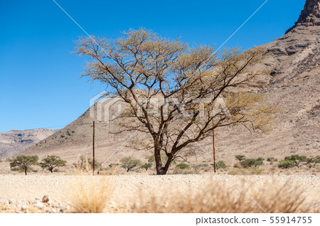 Rest Area along a desert Road 55914755