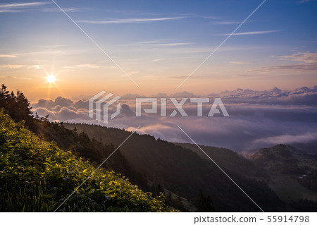 （群馬）黎明時分從Unkai的Hogahira Marsh黎明 55914798