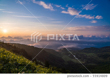 (Gunma) Dawn from the Hogahira Marsh in the Unkai, dawn 55914809