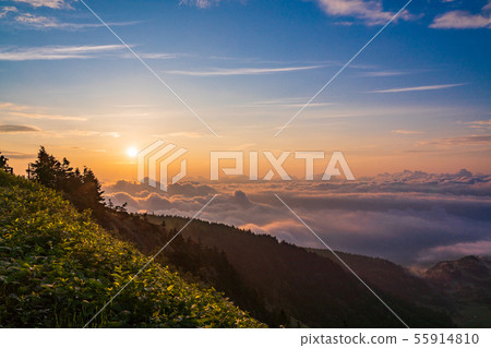 (Gunma) Dawn from the Hogahira Marsh in the Unkai, dawn 55914810