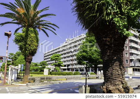 Kochi Prefectural Office in front of Kochi City, Kochi Prefecture 55915074