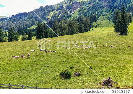 Little village Rinnen near Imst in Tirol Austria, Little village Rinnen near Imst in Tirol Austria, 55915157