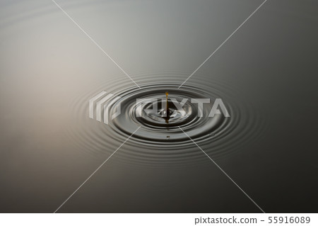 黑醋圖像 55916089