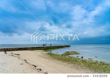 沖繩竹富島熱門西部碼頭 沖繩竹富島熱門西部碼頭 55916099