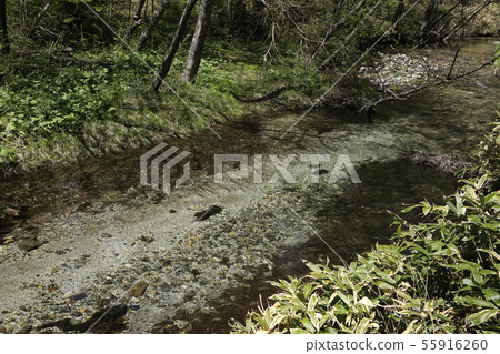 Kamikochi在春天 Kamikochi在春天 55916260