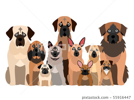 Group of dogs with black mouth Group of dogs with black mouth 55916447