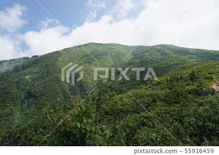 從山路到山頂。 從山路到山頂。 55916459