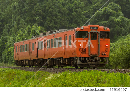 Kiha 47民主 55916497