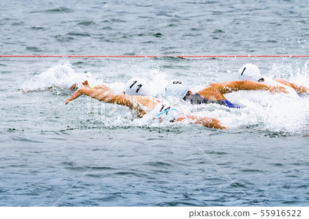 Triathlon swimmer Triathlon swimmer 55916522