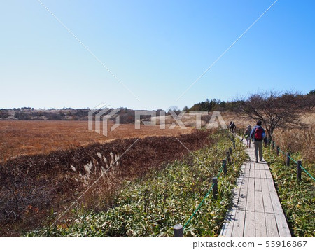 Kirigamine Yashima Wetland 55916867