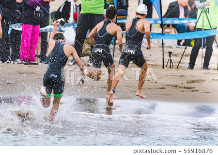 Triathlon Swim Competition Finish 55916876