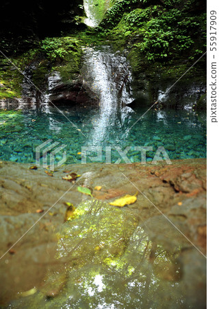 Blue and green and reflection 55917909