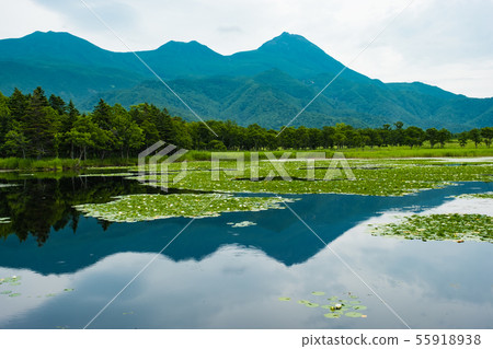 [Hokkaido] World natural heritage _ Shiretoko Goko _ Lake Ichi and Mt. Rausu 55918938