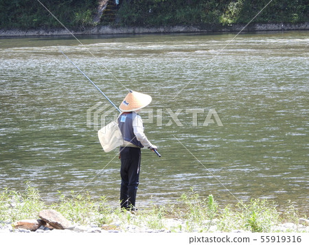Yoshino River 55919316