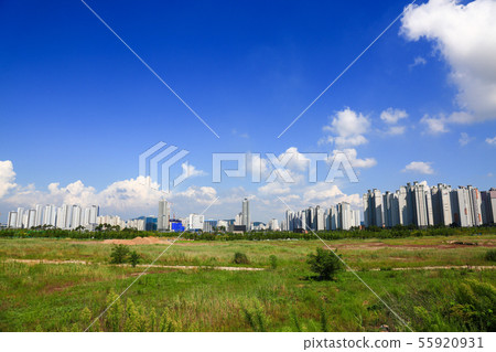 風景 55920931