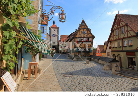 Rothenburg_Plain line_綠樹種植 Rothenburg_Plain line_綠樹種植 55921016