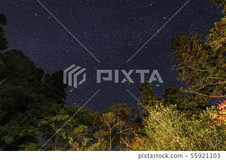 山村明星視圖獵戶座 山村明星視圖獵戶座 55921103