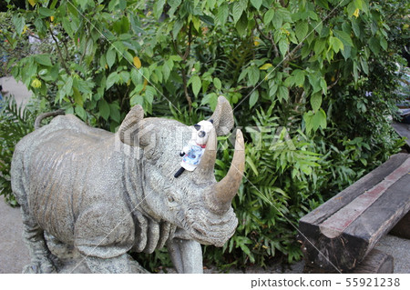 新加坡夜動物園 55921238