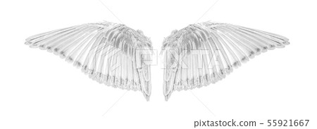 Angel wings an isolated on white background 55921667