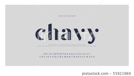 Elegant alphabet letters font and number. Classic Elegant alphabet letters font and number. Classic 55921969