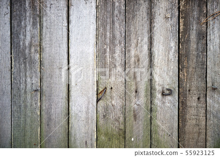 wooden texture 55923125
