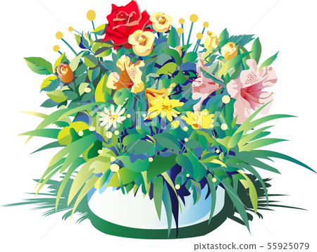 慶祝花或儀式花 慶祝花或儀式花 55925079