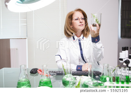 Academic scientist doing research on plants in microbiological lab 55925195