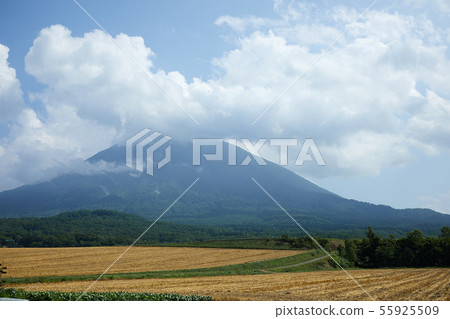 Mt. Yotei and fields Mt. Yotei and fields 55925509