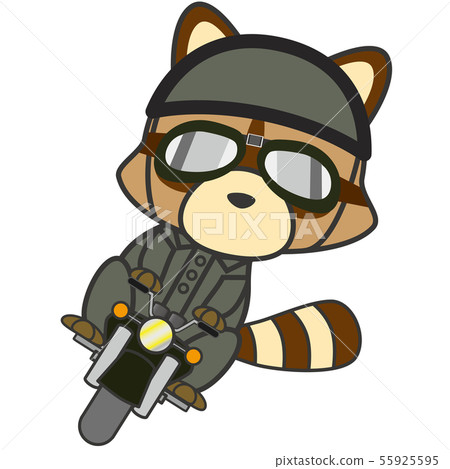 Raccoon rider - Stock Illustration [55925595] - PIXTA