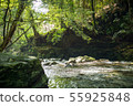 Clear stream 55925848