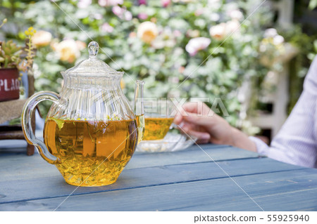 Female hand drinking herbal tea in the garden Female hand drinking herbal tea in the garden 55925940