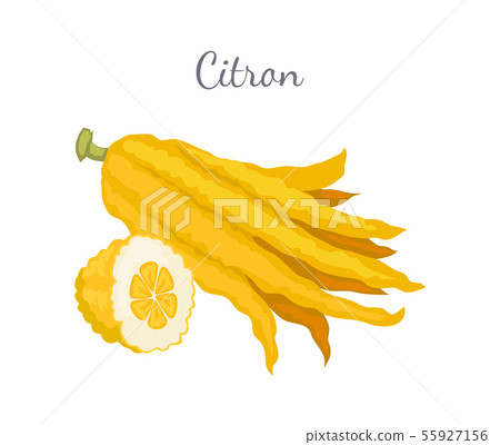 Citron Exotic Juicy Large Fragrant Citrus Fruit Citron Exotic Juicy Large Fragrant Citrus Fruit 55927156