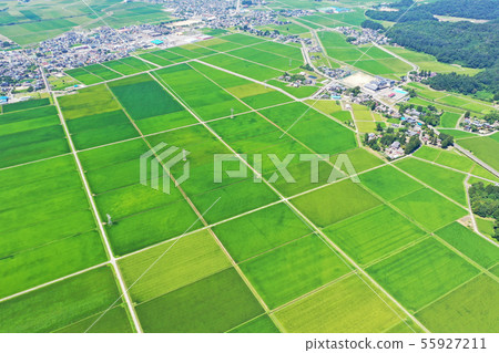 新潟的田園風光 55927211