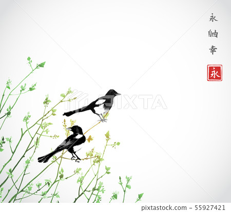 Young trees and two magpies birds. Traditional oriental ink painting sumi-e, u-sin, go-hua Young trees and two magpies birds. Traditional oriental ink painting sumi-e, u-sin, go-hua 55927421