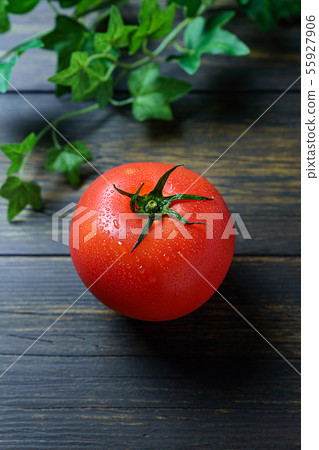 Fresh tomatoes with water droplets 55927906