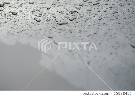 Rain drops and dew. water Rain drops and dew. water 55928495