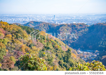 Mt. Takao山徑在秋天Mt. Inari路線從Azumaya到市中心的一個看法 Mt. Takao山徑在秋天Mt. Inari路線從Azumaya到市中心的一個看法 55928564