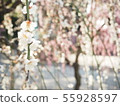 Dangling plum 55928597
