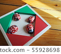 Ladybug 55928698