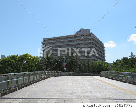 橫濱羅塞醫院 橫濱羅塞醫院 55928775