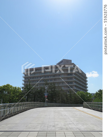 橫濱羅塞醫院 橫濱羅塞醫院 55928776