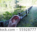 Small flowers 55928777