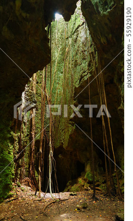 Nudokubiab, Irabu Island, Okinawa Prefecture 55929190