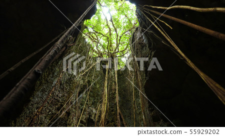 沖繩縣伊拉布島Nudokubiab 55929202