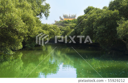 Roaming Tainan four grass green tunnel 55929212