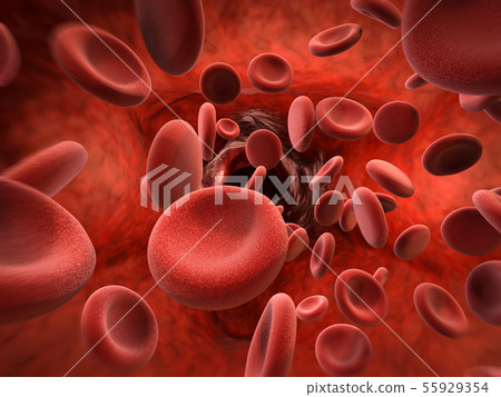 red blood cells in vein red blood cells in vein 55929354