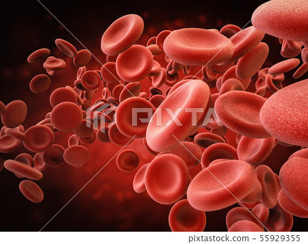 red blood cells in vein red blood cells in vein 55929355