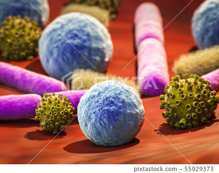 virus and bacteria cells in vein virus and bacteria cells in vein 55929373