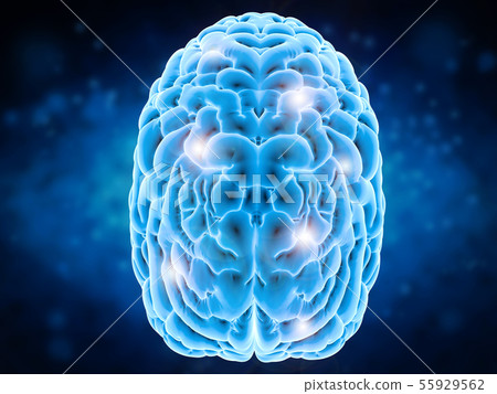 brain power concept brain power concept 55929562