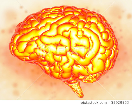 brain power concept brain power concept 55929563
